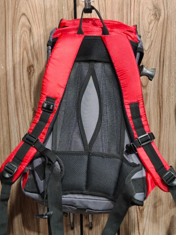 Dachstein DS 25 Bag Pack - Image 2