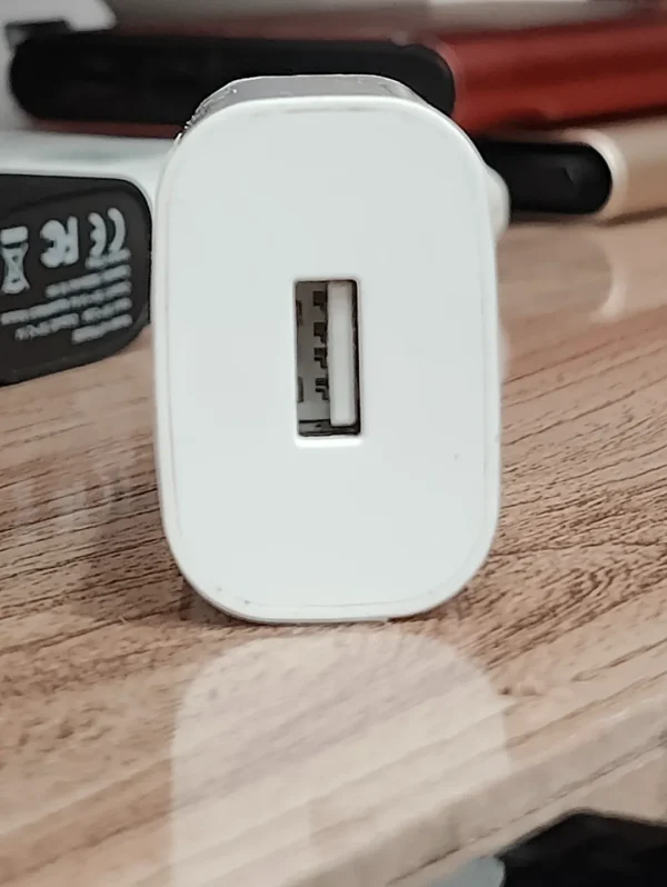 BYD 18W Charger - Image 2