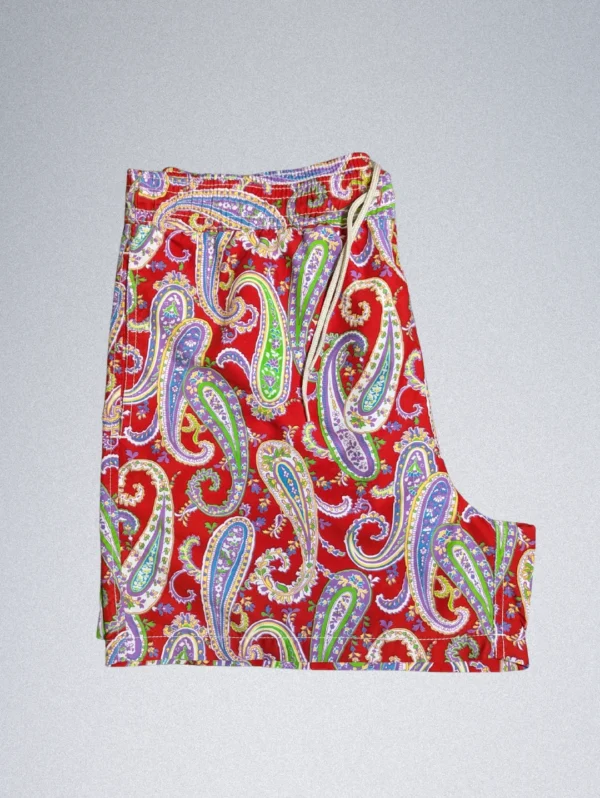 Men's Polo Ralph Laurin Summer Shorts - Image 3