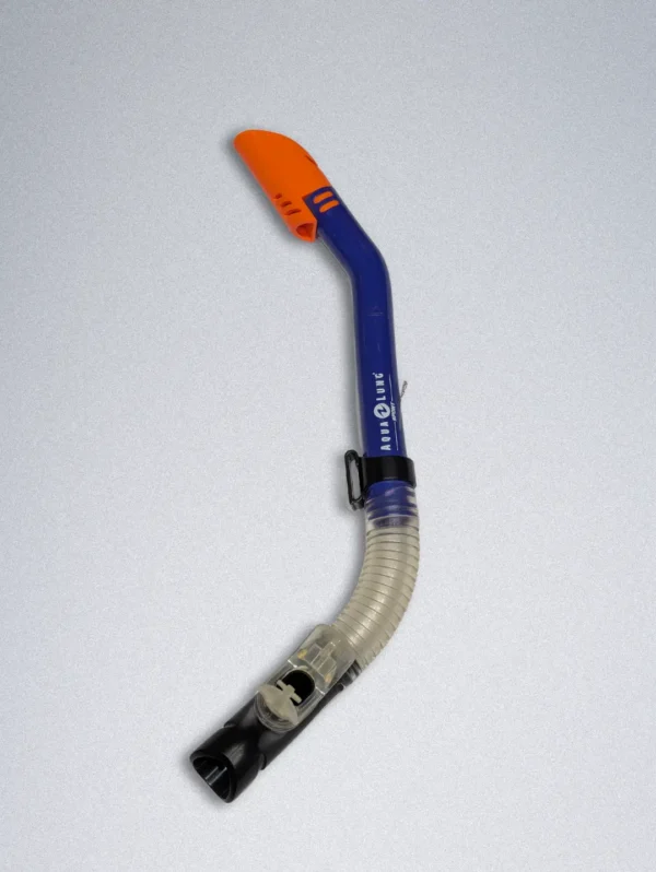 Swimming and Scuba Diving Snorkel and Glasses or shades or Glasses