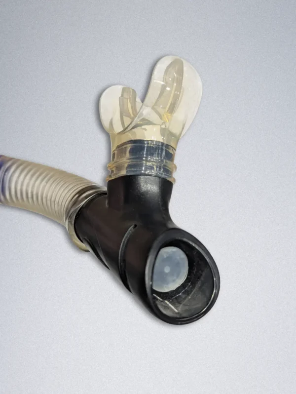 Swimming and Scuba Diving Snorkel and Glasses or shades or Glasses