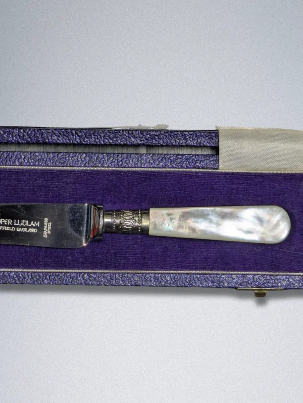 Vintage Cooper Ludlam Sheffield England Mother of Pearl Handle Cheese Knife - Image 4